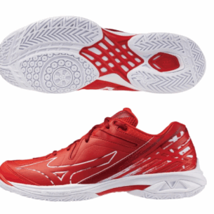 MIZUNO｜羽球鞋  WAVE CLAW PRO 2 BDSS限定 71GA245220